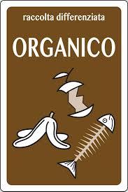 Avvio raccolta domiciliare della frazione organica