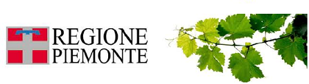Flavescenza dorata della vite