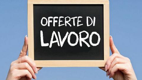 Assunzione di n.1 Operatore Tecnico (Area tecnico - manutentiva - cantoniere)